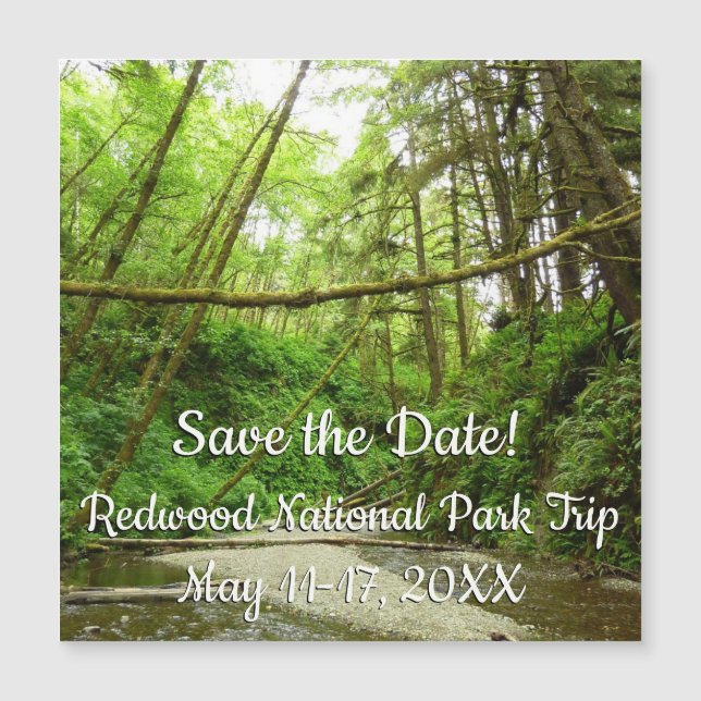 Fern Canyon I at Redwood National Park (Front)