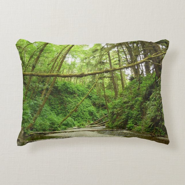 Fern Canyon I at Redwood National Park Accent Pillow (Front)