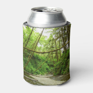 Fern Canyon I at Redwood National Park Can Cooler