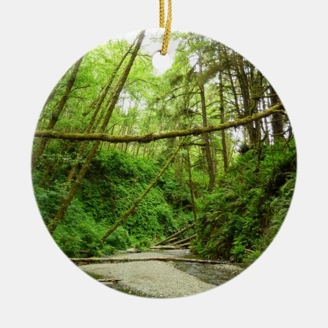 Fern Canyon I at Redwood National Park Ceramic Ornament (Front)