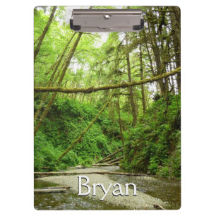 Fern Canyon I at Redwood National Park Clipboard