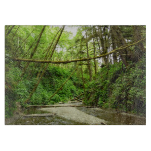 Fern Canyon I at Redwood National Park Cutting Board