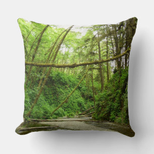 Fern Canyon I at Redwood National Park Throw Pillow