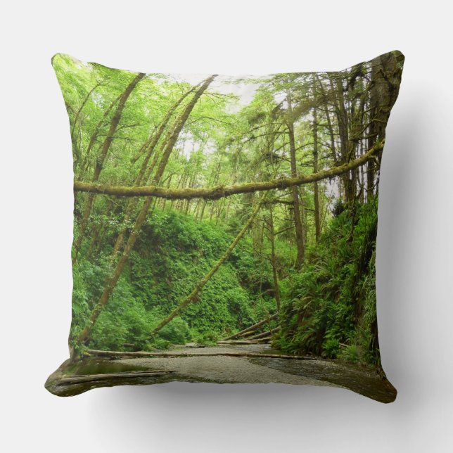 Fern Canyon I at Redwood National Park Throw Pillow (Front)