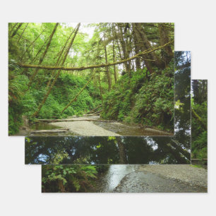 Fern Canyon I at Redwood National Park Wrapping Paper Sheet
