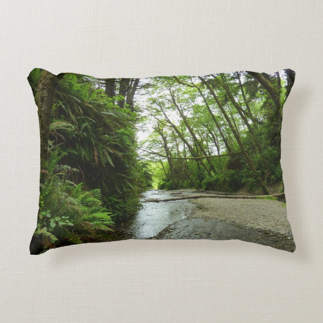 Fern Canyon II at Redwood National Park Accent Pillow (Front)