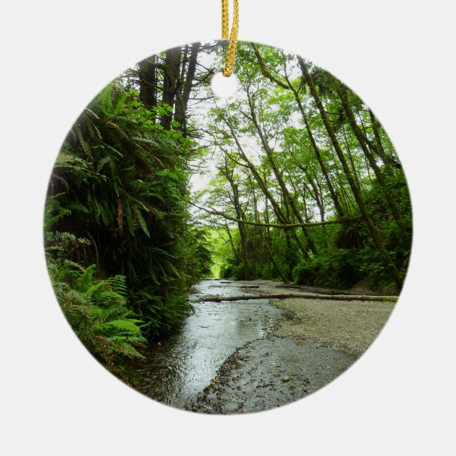 Fern Canyon II at Redwood National Park Ceramic Ornament (Front)