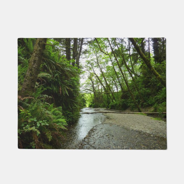 Fern Canyon II at Redwood National Park Doormat (Front)