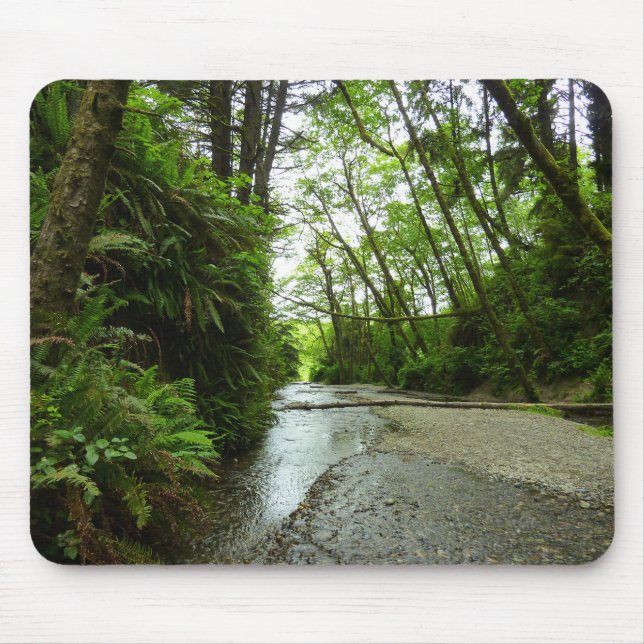 Fern Canyon II at Redwood National Park Mouse Pad (Front)
