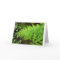 Fern Card