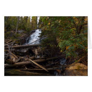Fern Falls au parc national Rocky Mountain