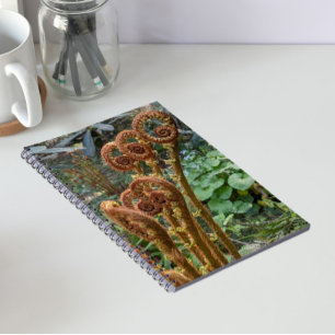 Fern Fiddleheads Botanical Notebook