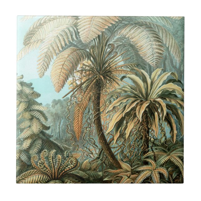 Fern (Filicinae) by Haeckel Tile (Front)