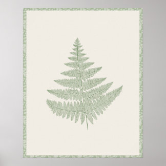 Fern Frond Botanical Print Sage Green on Cream