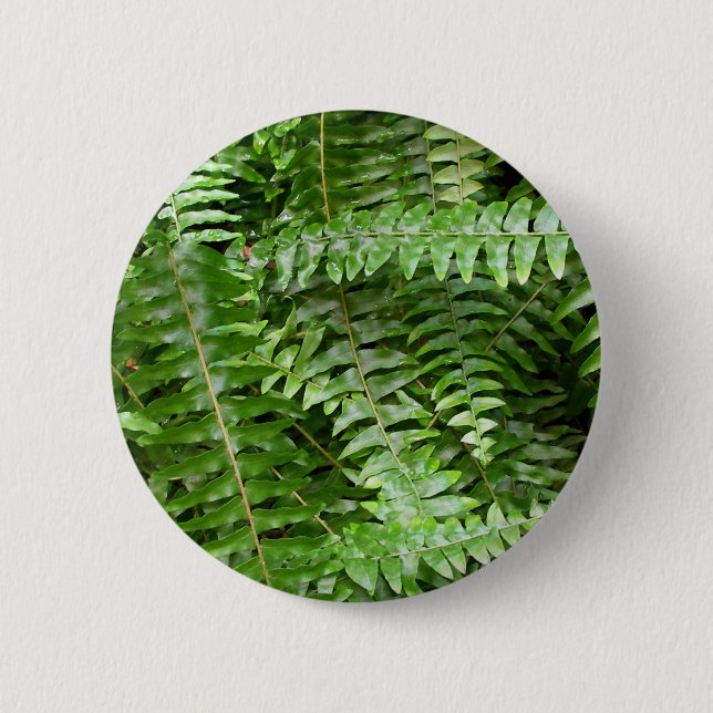 Fern Fronds I Green Nature 2 Inch Round Button (Front)