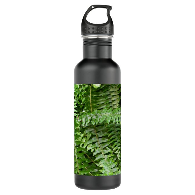 Fern Fronds I Green Nature 710 Ml Water Bottle (Front)