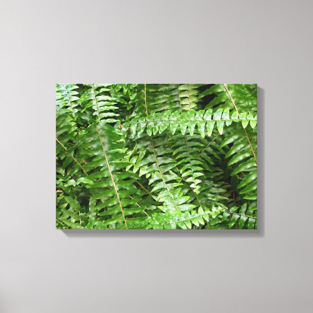 Fern Fronds I Green Nature Canvas Print (Front)