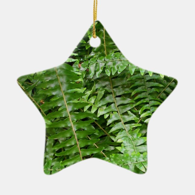 Fern Fronds I Green Nature Ceramic Ornament (Front)