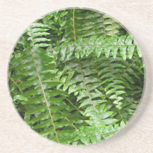 Fern Fronds I Green Nature Coaster