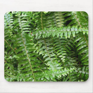 Fern Fronds I Green Nature Mouse Pad