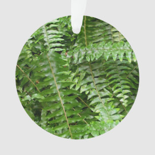 Fern Fronds I Green Nature Ornament