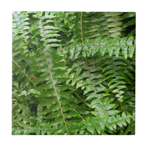 Fern Fronds I Green Nature Tile