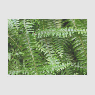 Fern Fronds I Green Nature Tissue Paper
