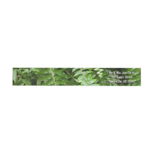 Fern Fronds I Green Nature Wrap Around Label