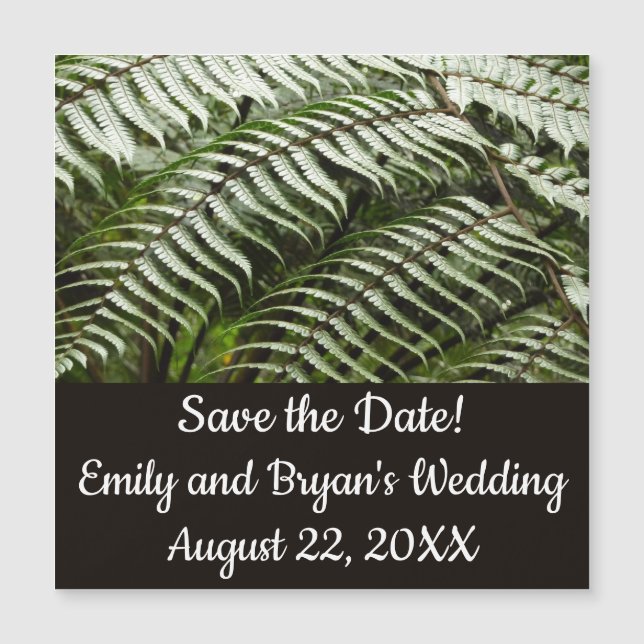 Fern Fronds II Dark Green Nature (Front)