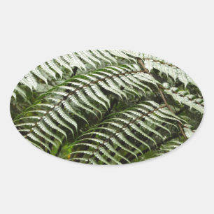 Fern Fronds II Dark Green Nature Oval Sticker
