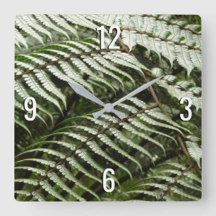 Fern Fronds II Dark Green Nature Square Wall Clock