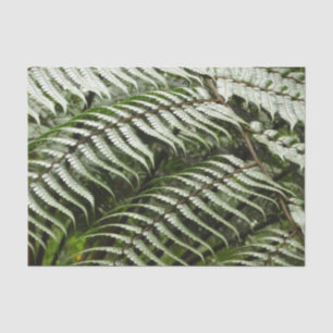 Fern Fronds II Dark Green Nature Tissue Paper
