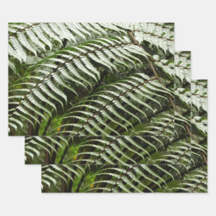 Fern Fronds II Dark Green Nature Wrapping Paper Sheet