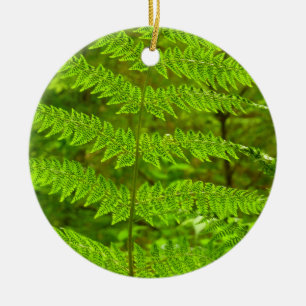 Fern Fronds III Green Nature Botanical Ceramic Ornament