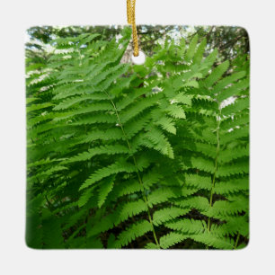 Fern Fronds IV Green Nature Botanical Ceramic Ornament