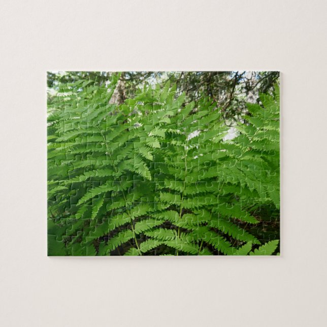 Fern Fronds IV Green Nature Botanical Jigsaw Puzzle (Horizontal)