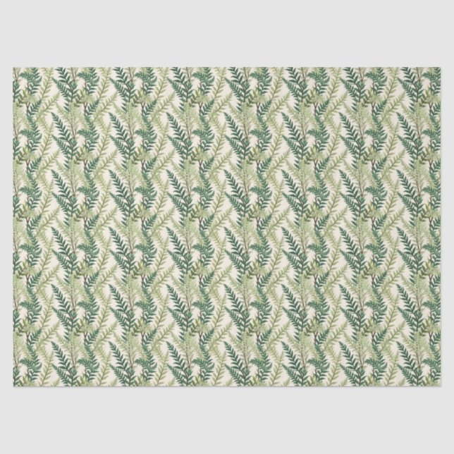 Fern Fronds Tissue Paper (Front)