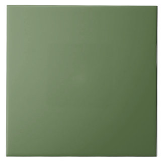 Fern Green Ceramic Tile. Tile