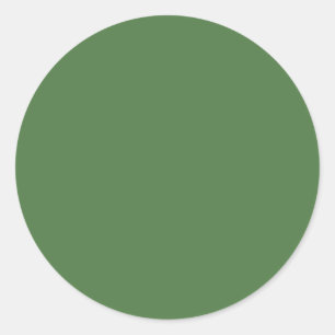 Fern Green Solid Colour Classic Round Sticker