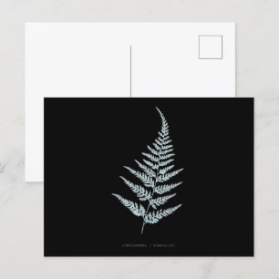 Fern - Gymnogramma L’herminieri. X-ray effect – 05 Postcard