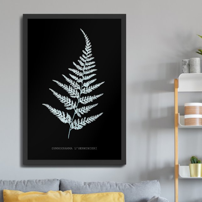 Fern - Gymnogramma L’herminieri. X-ray effect – 05 Poster (Creator Uploaded)