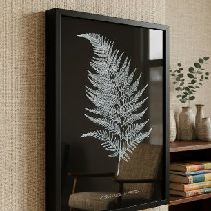 Fern - Gymnogramma Ochracea - X-ray effect - 02 Photo Print
