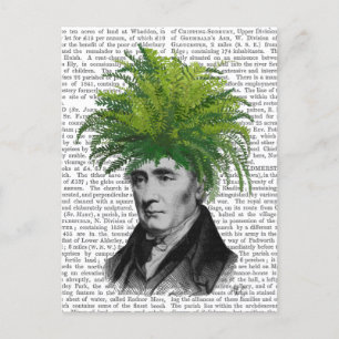 Fern Head Plant Head Postcard