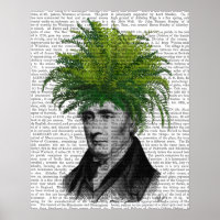 Fern Head Plant Head