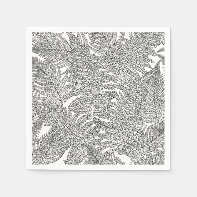 Fern in black and white napkin (Front)