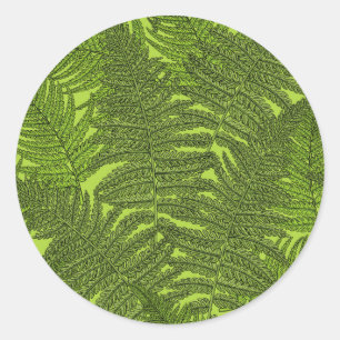 Fern in green classic round sticker