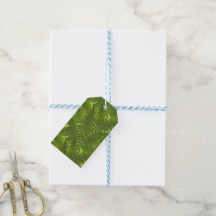 Fern in green gift tags