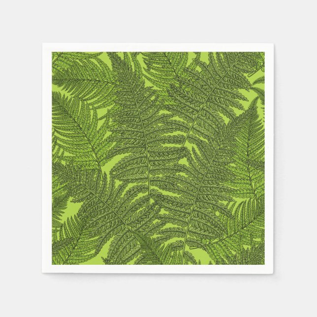 Fern in green napkin (Front)