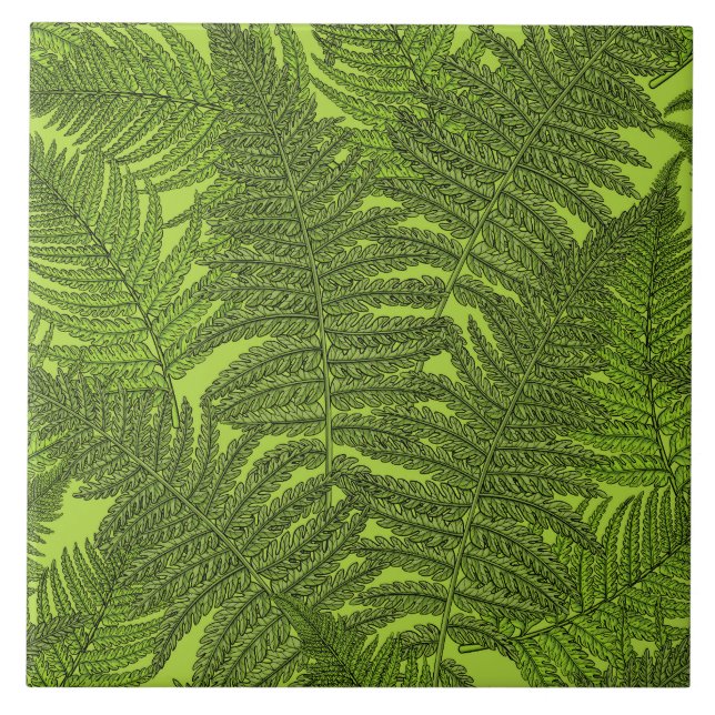 Fern in green tile (Front)