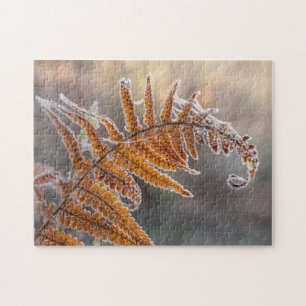 Fern Leaf with Icy Frost in a Cold Winter Nature - Jigsaw Puzzle